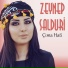 Zeynep Salduri
