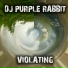 DJ Purple Rabbit