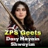 Zps Geets