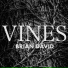 Brian David