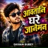 Shivam Dubey