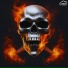 Dxom
