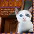 RelaxMyCat, Cat Music Dreams
