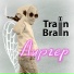 Train Brain