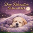 Dog Sleep Lab