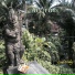 Holy Heights
