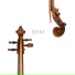 Vanmocsello Trio