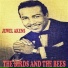 Jewel Akens