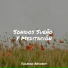 Relajante Musica, Natureza, Ambiente
