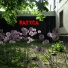 Razxca