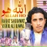 Rahat Sakhawat, Ashiq Ali Qawal