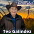 Teo Galindez
