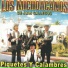 Los Michoacanos De Juan Gallegos