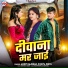 Ankit Rajbhar, Punita Priya