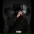 TRF x BM