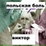 Польская Боль