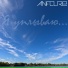 Anflure