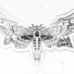 mothaltar