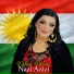 Naze Azizi