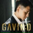 Gavin D