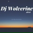 DJ Wolverine Oficial