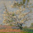 tran duy