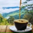 Cocoa Coffee Clan