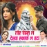 Vijay Manhar, Anita Manikpuri