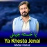 Abdul Fanaz