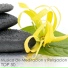 Meditacion