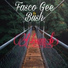 Fasco gee feat. Bush