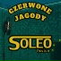SoLeo