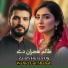 Wahid Gul Shabab