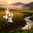 乡村突击队