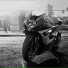 Motor Driving Sounds, Traffic Sounds