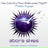 New World, Nirav Sheth, NlightN