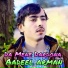 Aadeel Arman