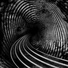 The Warp