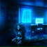 Nitness