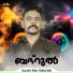 Naseer Tly