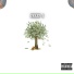 treze L