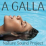 Nature Sound Project