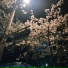 ForgetMeNow, nevertried