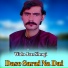 Wali Jan Shoqi