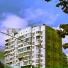 inane
