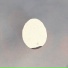Corduroy Egg, URCHN