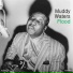 Muddy Waters