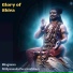 Bhagawan Nithyananda Paramashivam