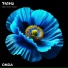 ONDA
