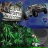 BirdsFlyStoned